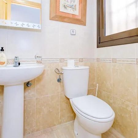 Apolo Id193 * 또레비에하